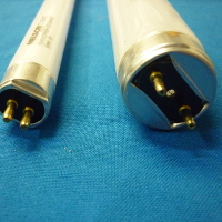 T5 VS T8 end