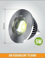 iGlobe-Downlight